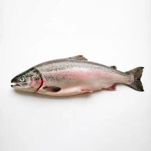 Seafood